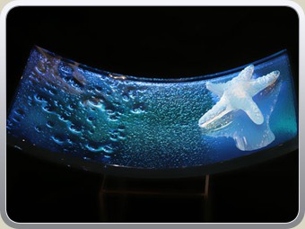 Curve-Bowl-Rectangle-Blue