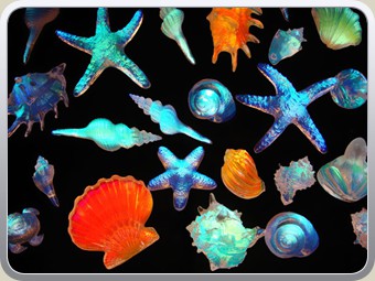 Grouping-of-LCS-Crystal-Sculptures