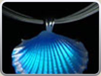 scallop